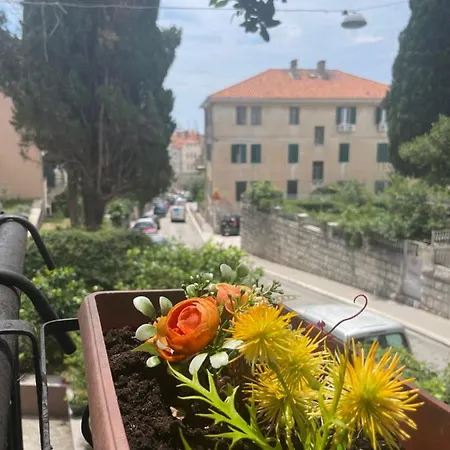 Welcome * Split